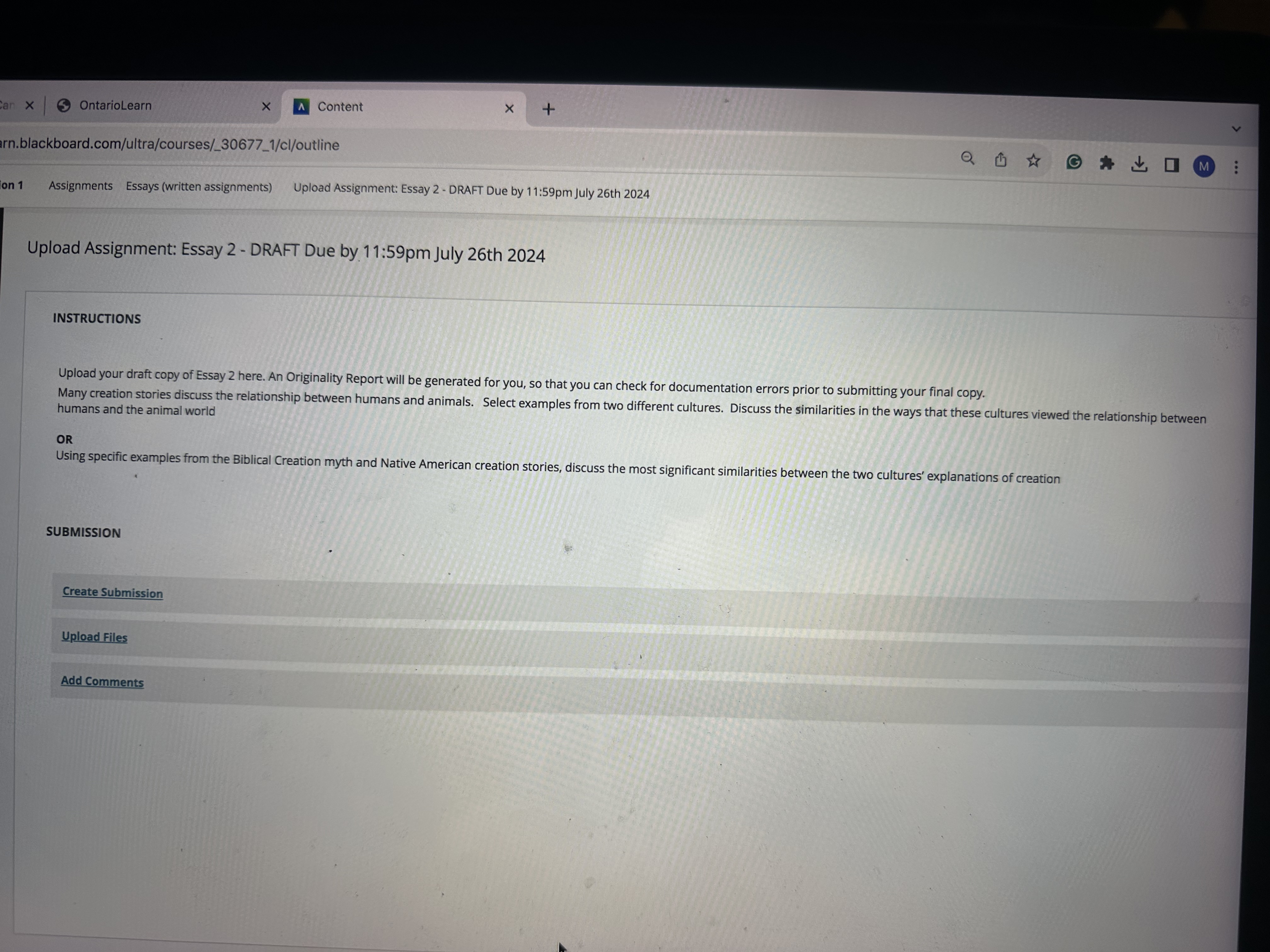 Please help me edit my essay please E E IEV