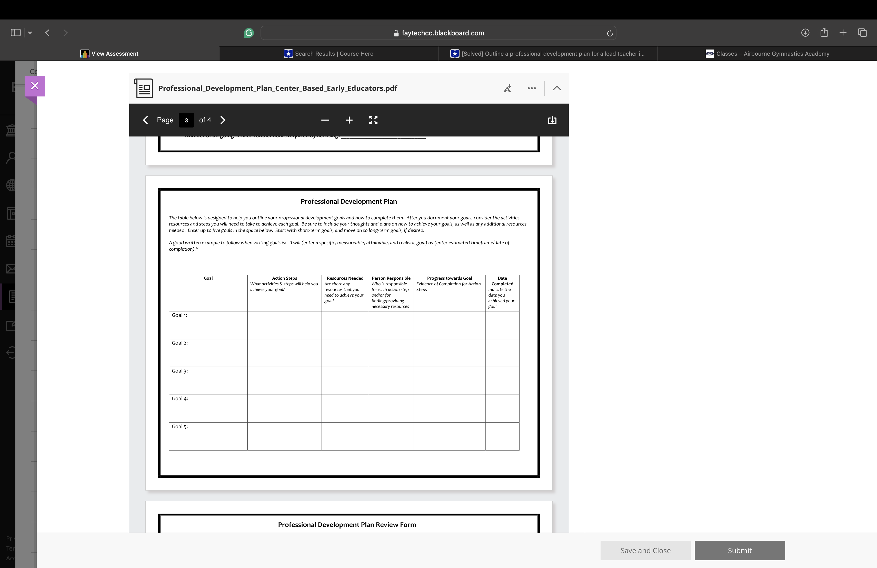 Professional Development Writing Assignment