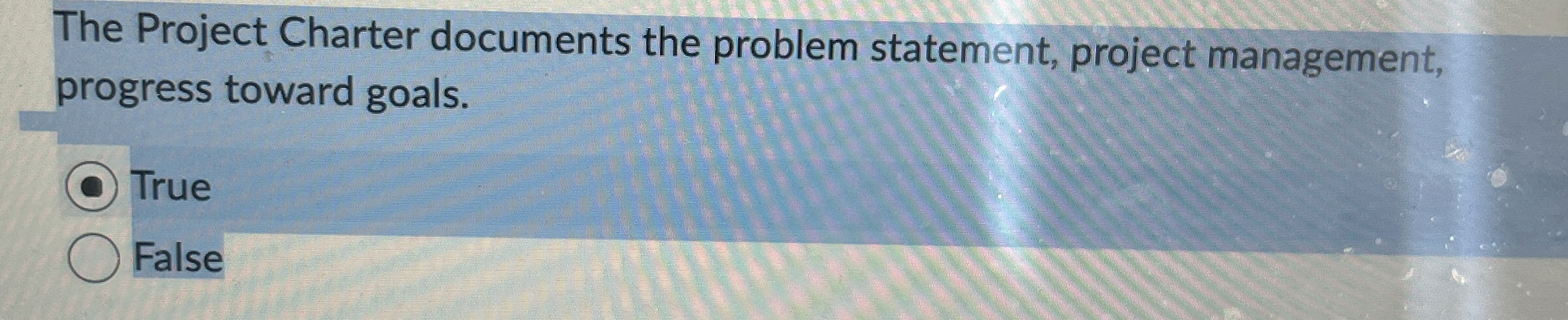 The Project Charter documents the problem