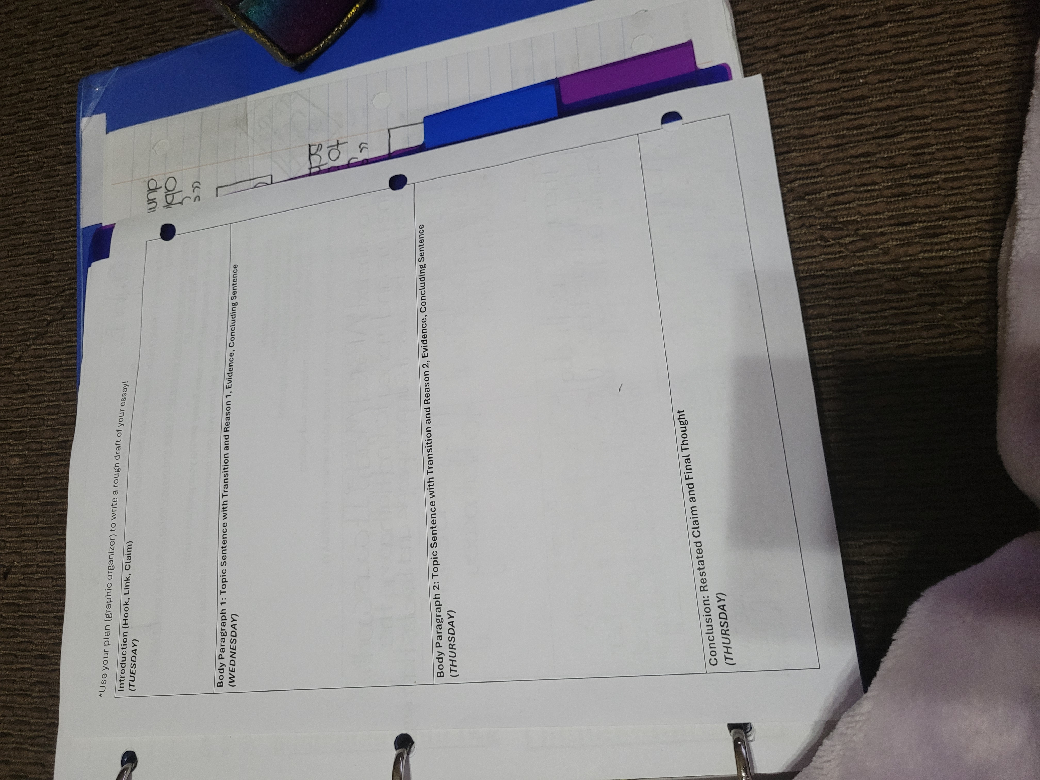 *Use your plan (graphic organizer) to write a