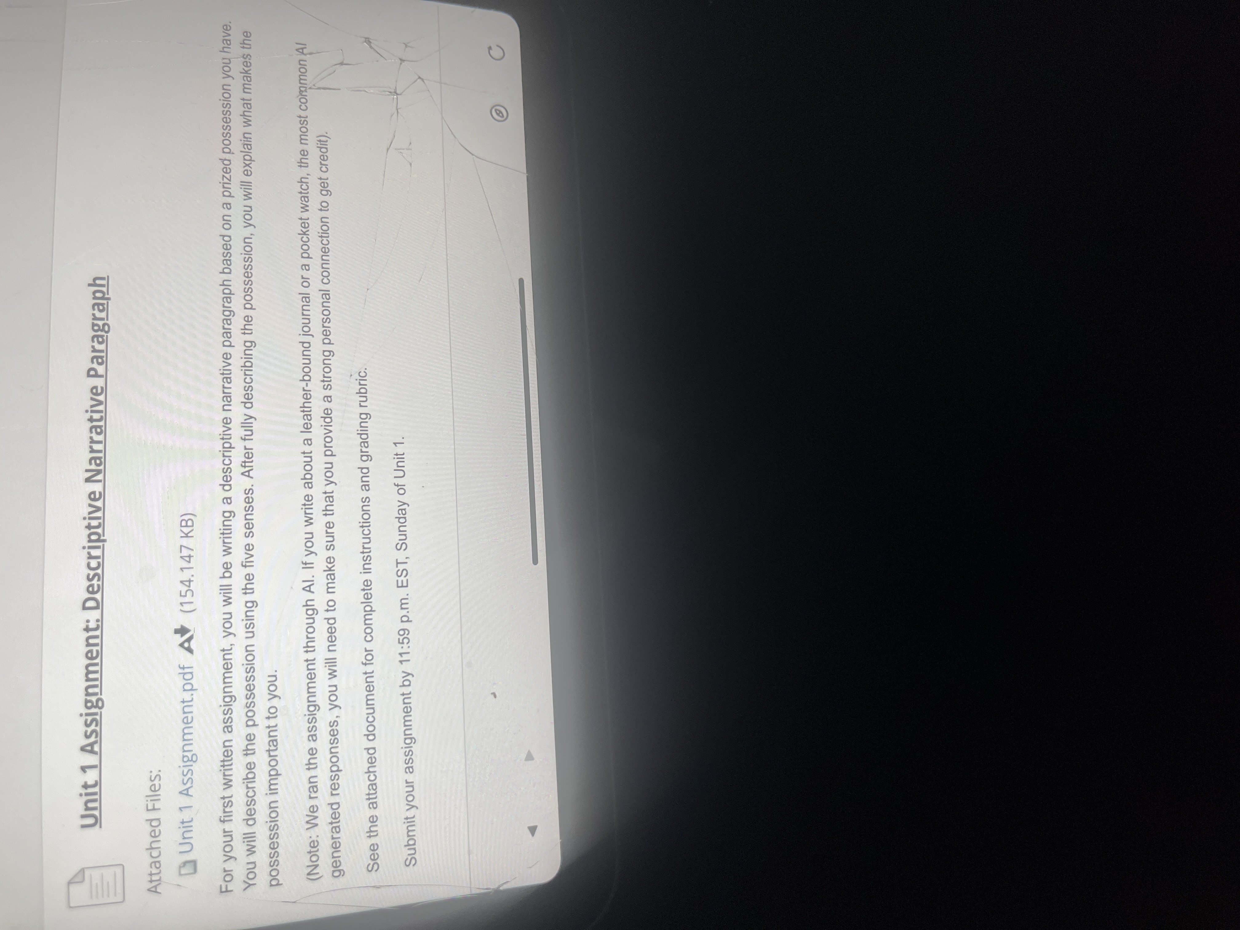 Unit 1 Assignment: Descriptive Narrative