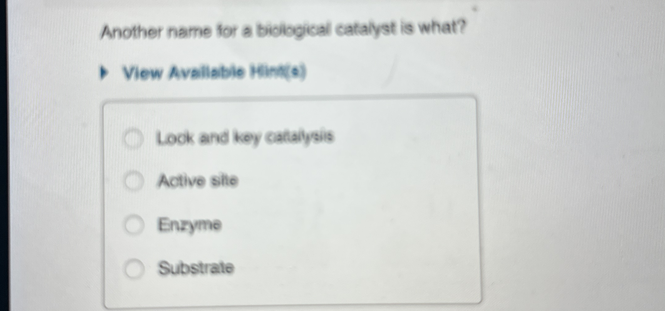 Another name for a biclogical catalyst is what?