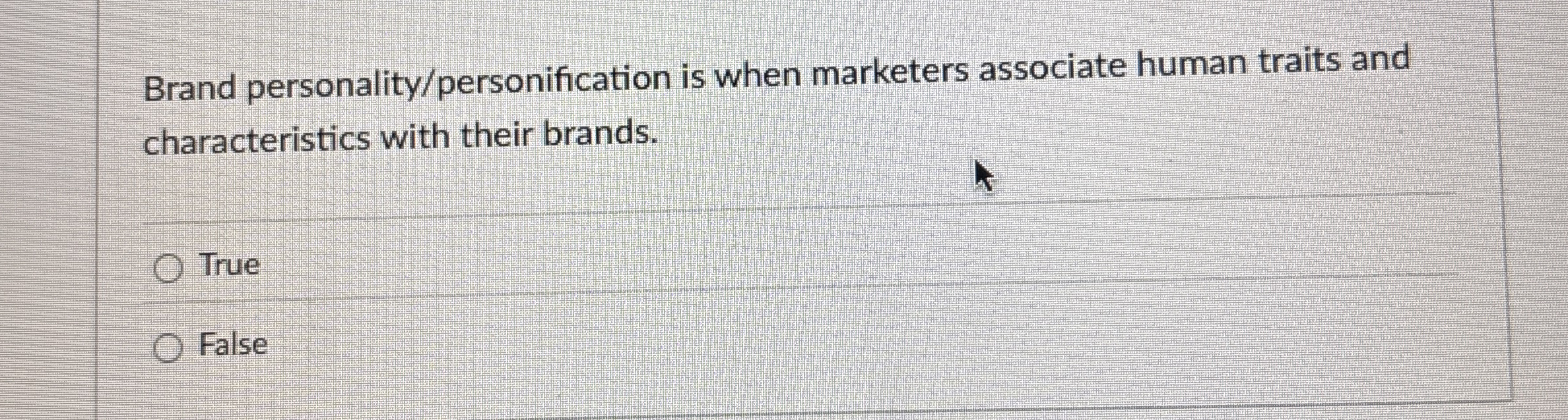 Brand personality / personification is when