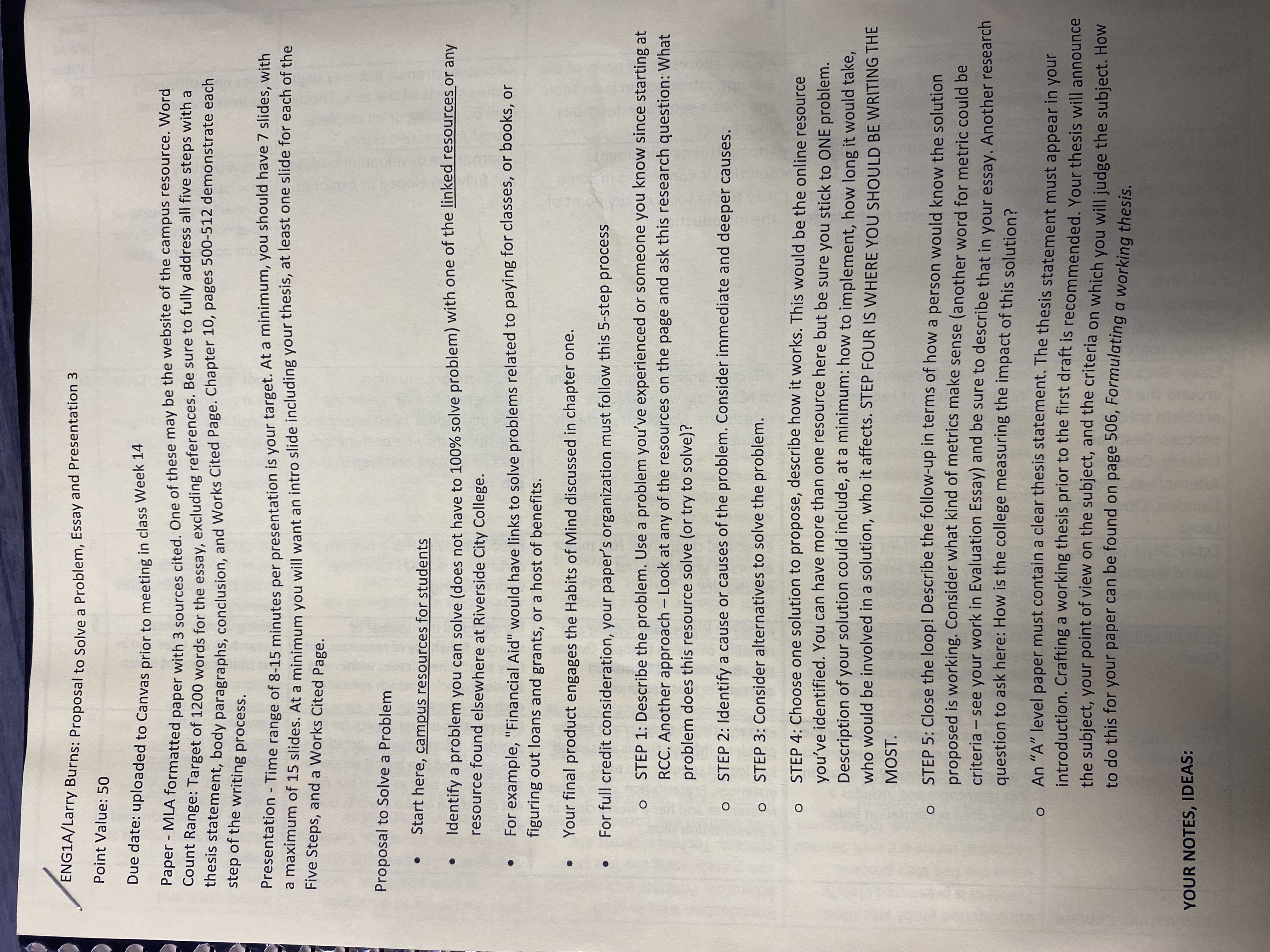ENG1A/Larry Burns: Proposal to Solve a Problem,
