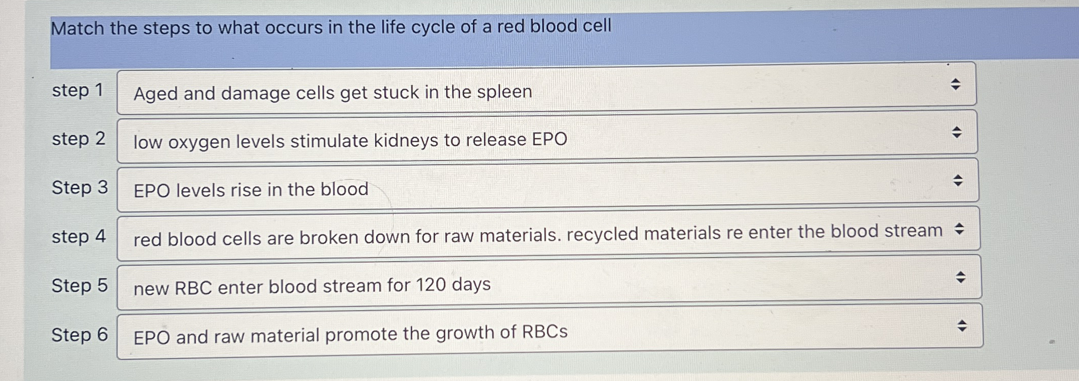 Match the steps to what occurs in the life cycle