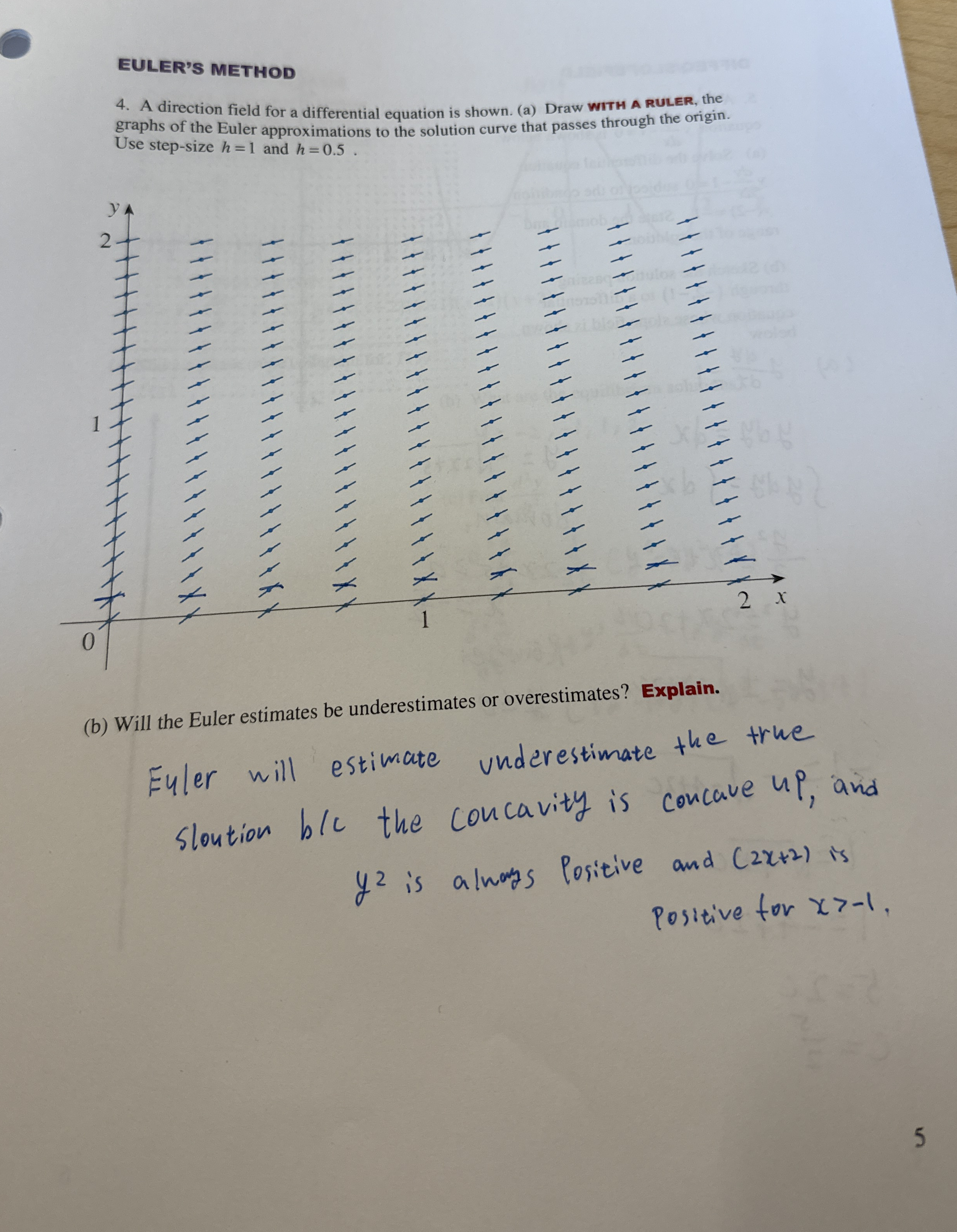 EULER'S METHOD 4 . A direction field for a