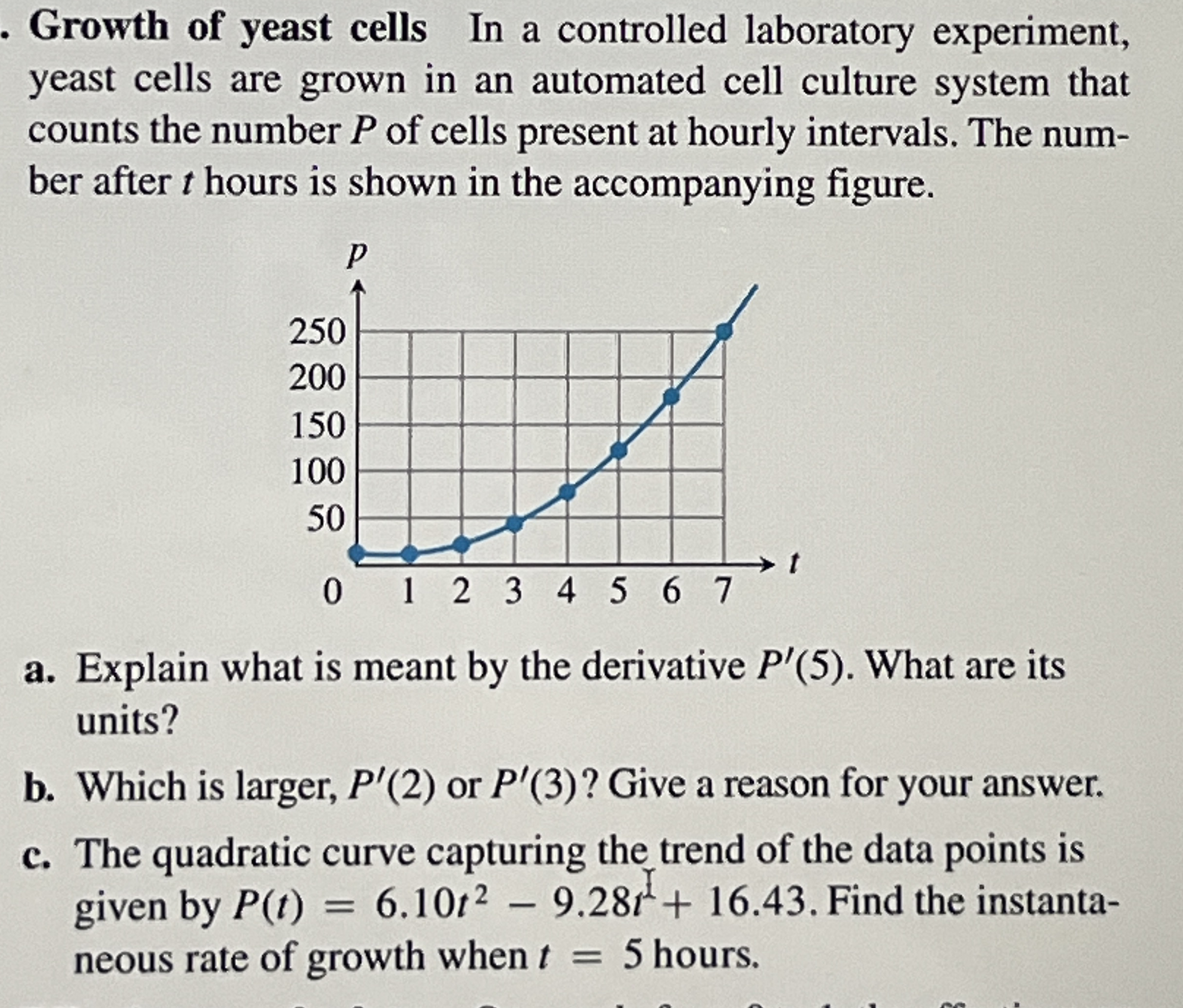 Growth of yeast cells In a controlled laboratory