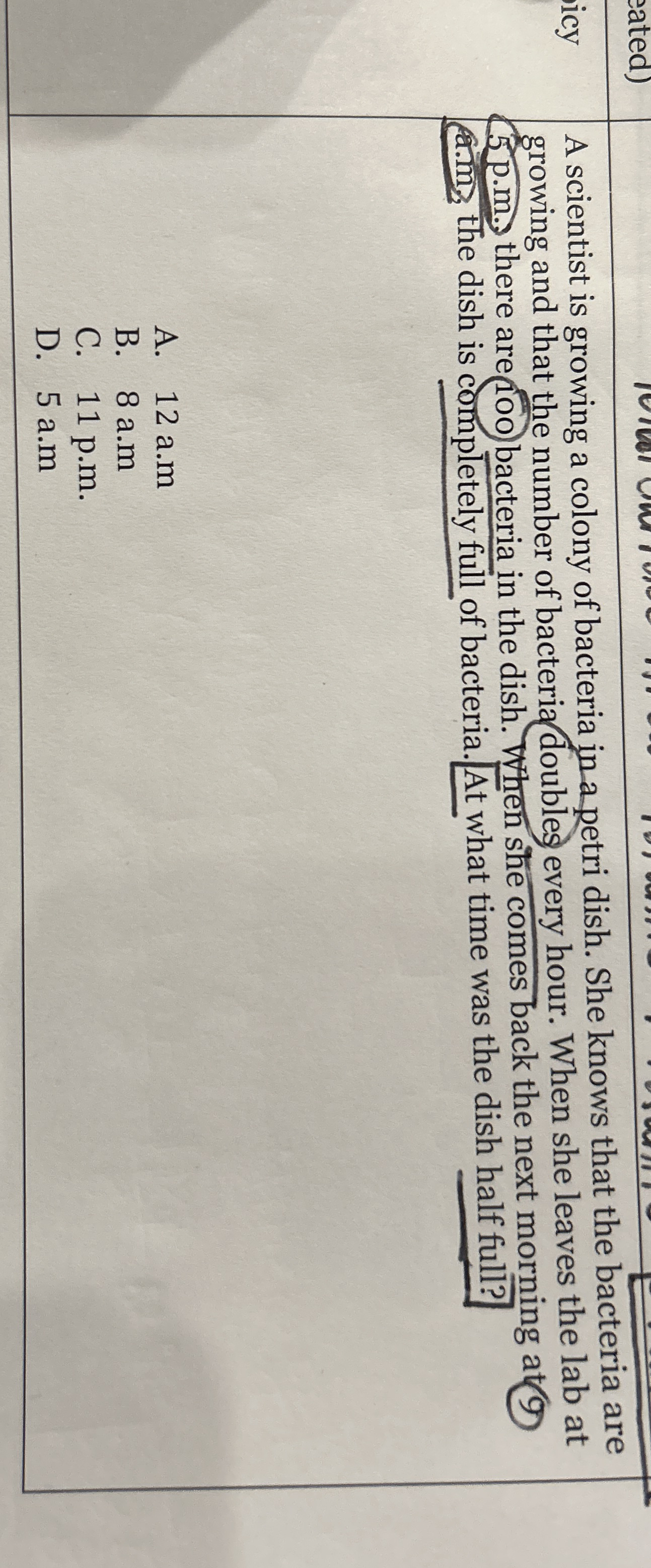 A scientist is growing a colony of bacteria in a