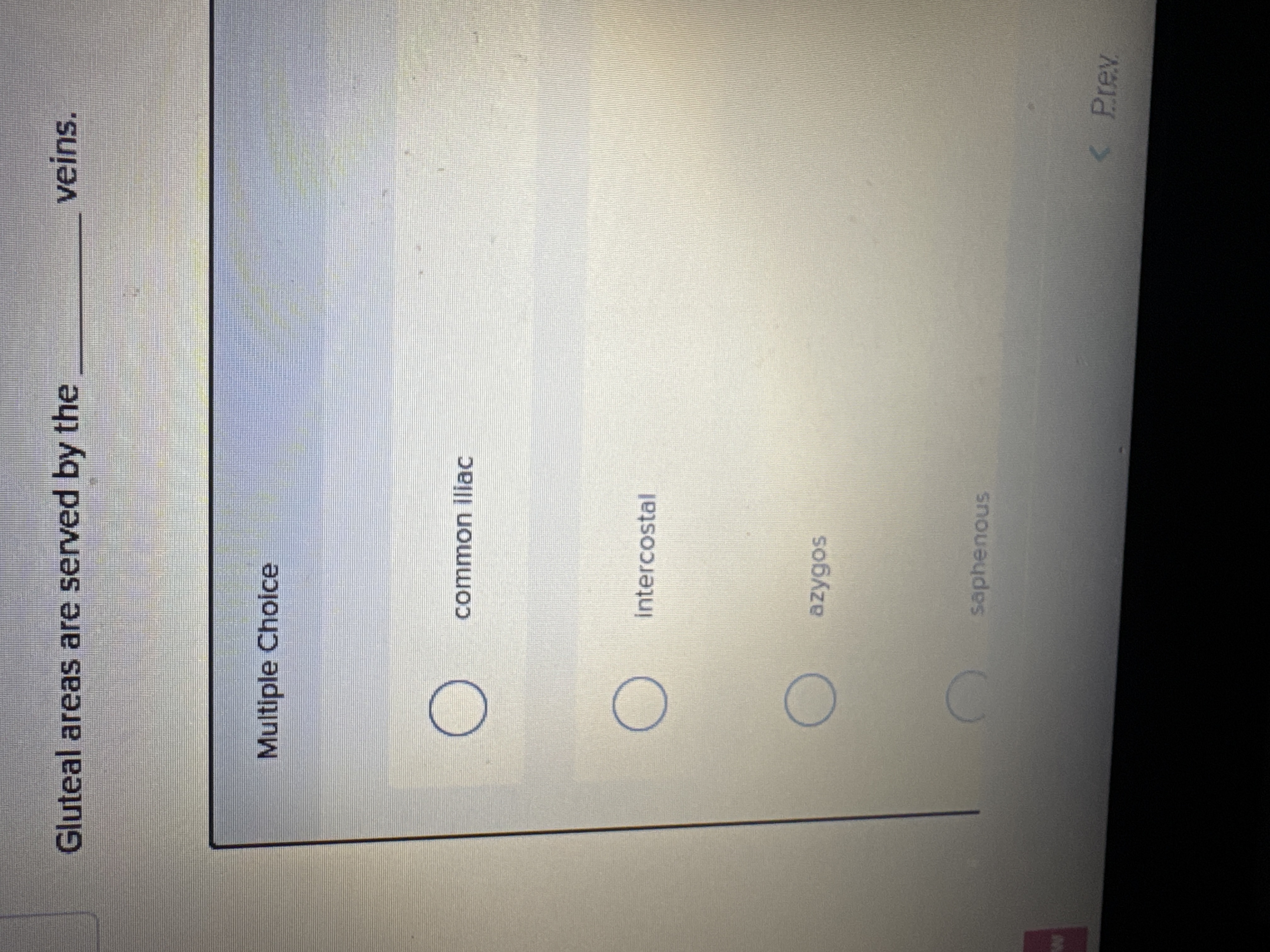 Gluteal areas are served by the veins. Multiple