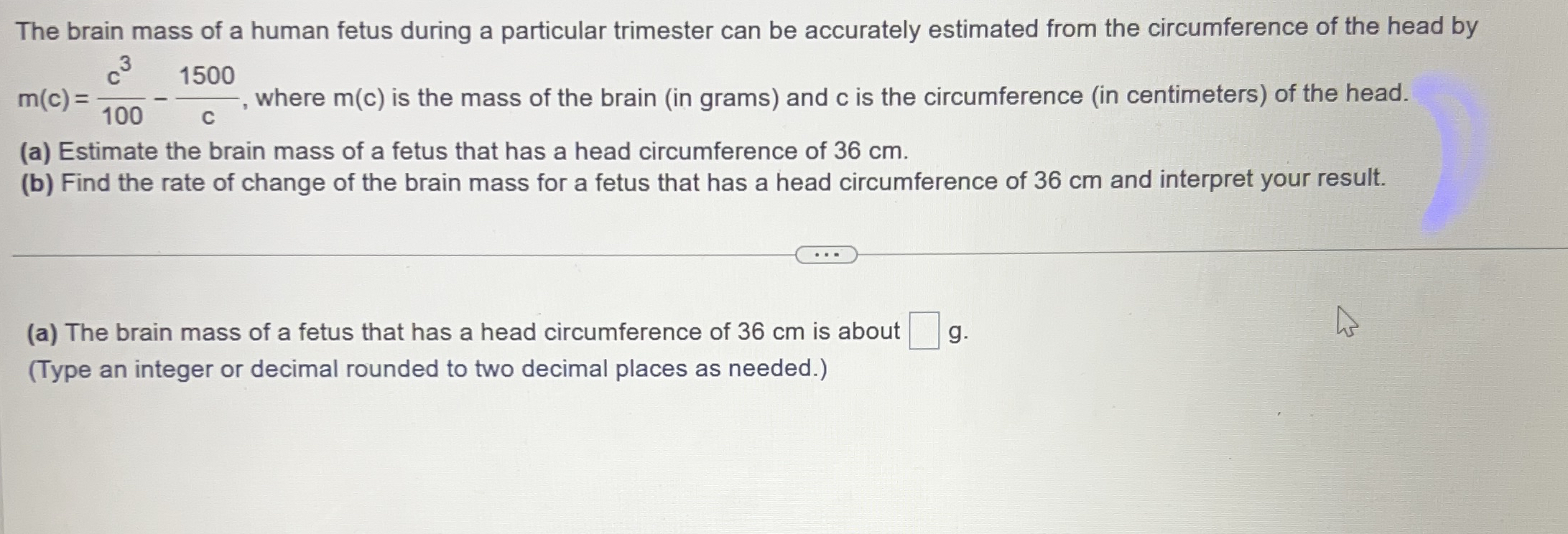The brain mass of a human fetus during a