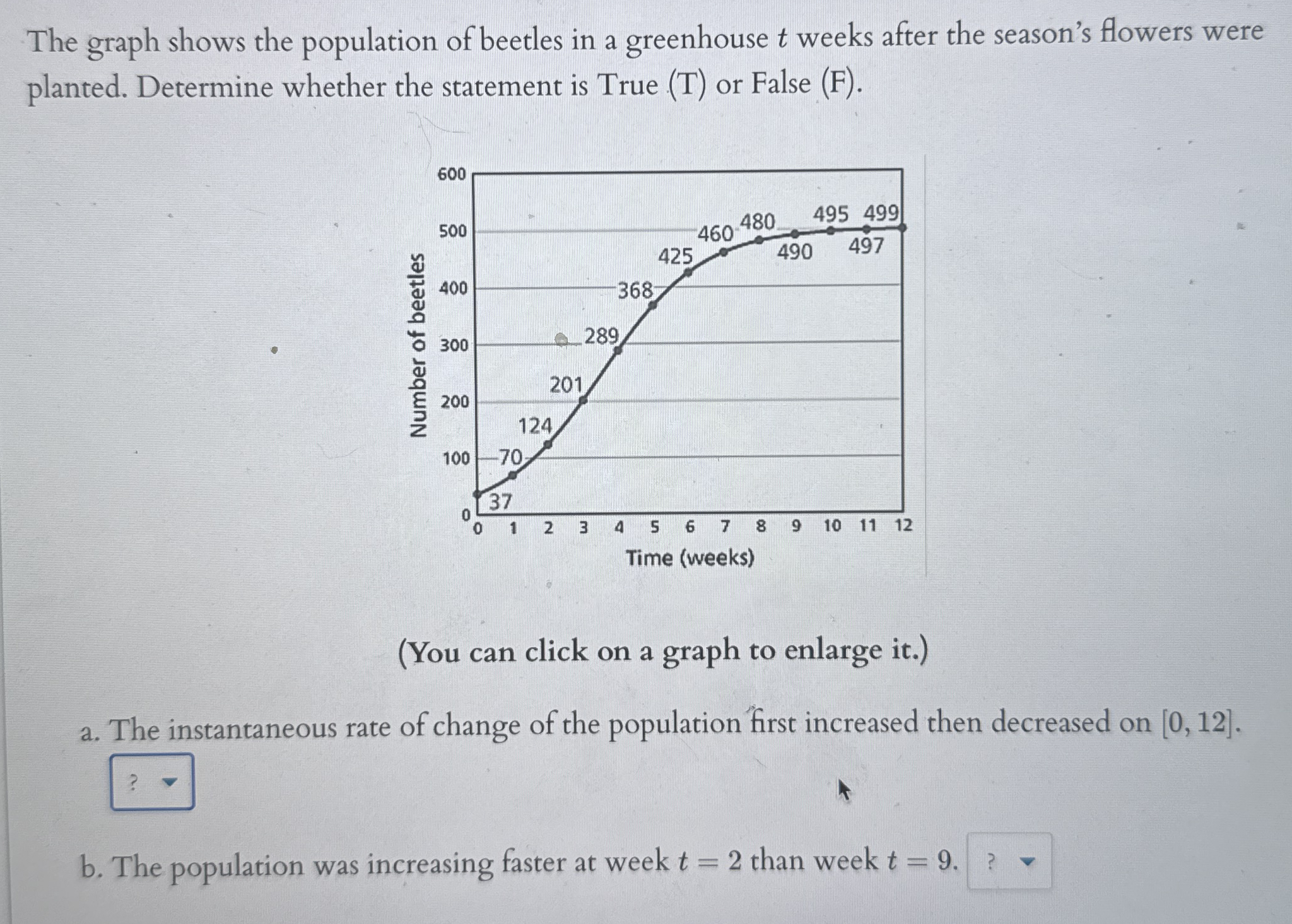The graph shows the population of beetles in a