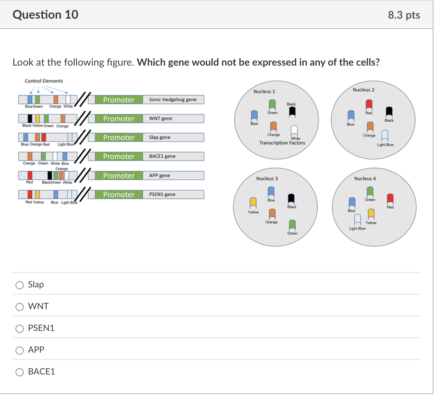 answer question in imaeg Question 10 8.3 pts Look