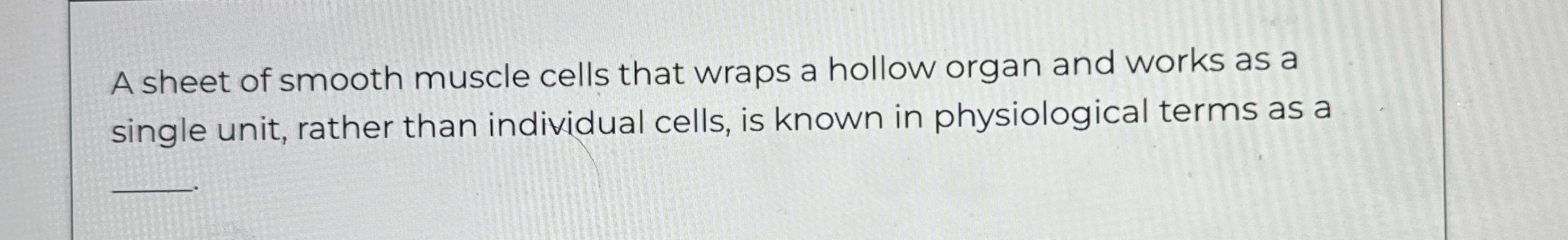 A sheet of smooth muscle cells that wraps a