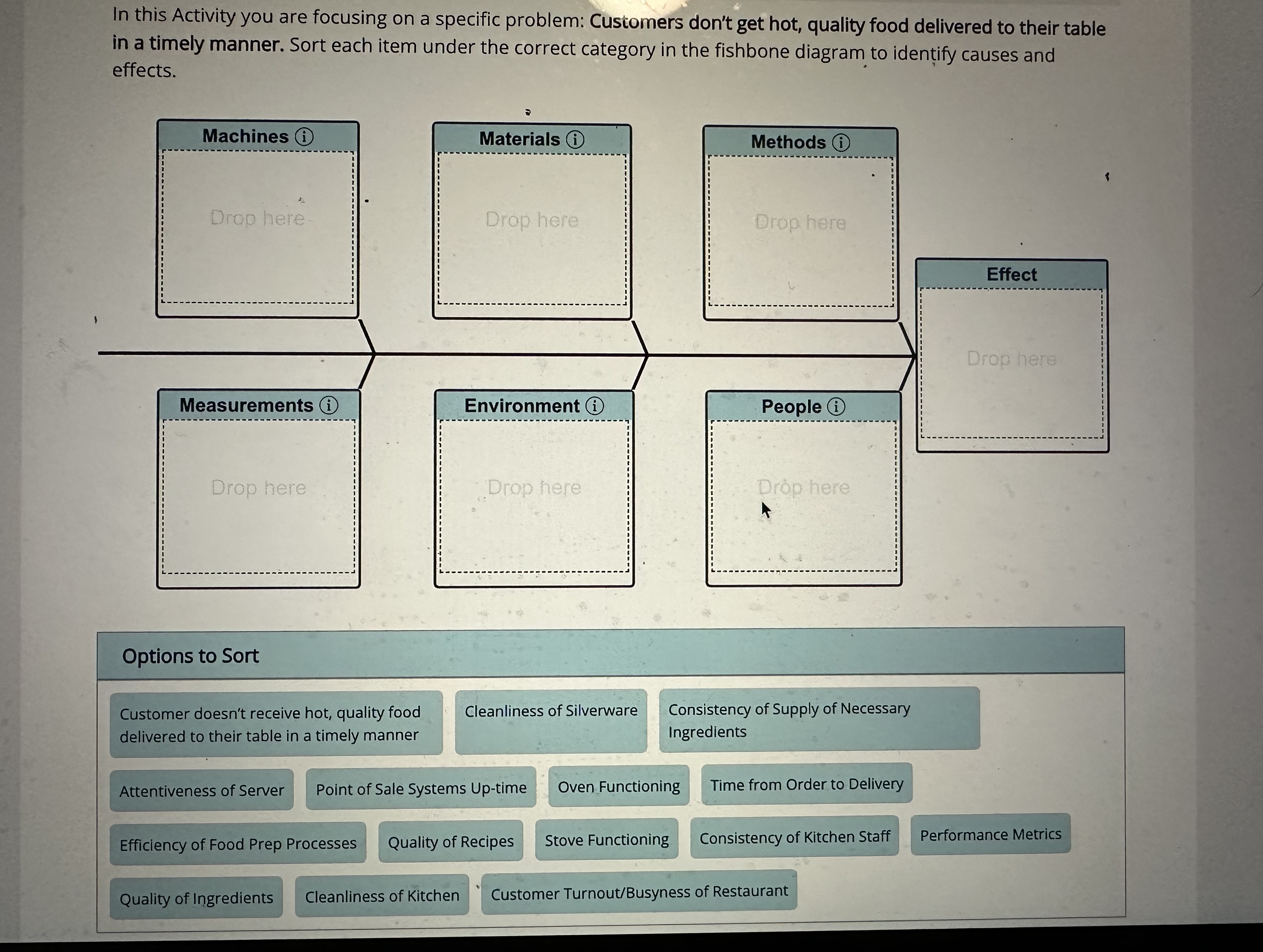 In this Activity you are focusing on a specific