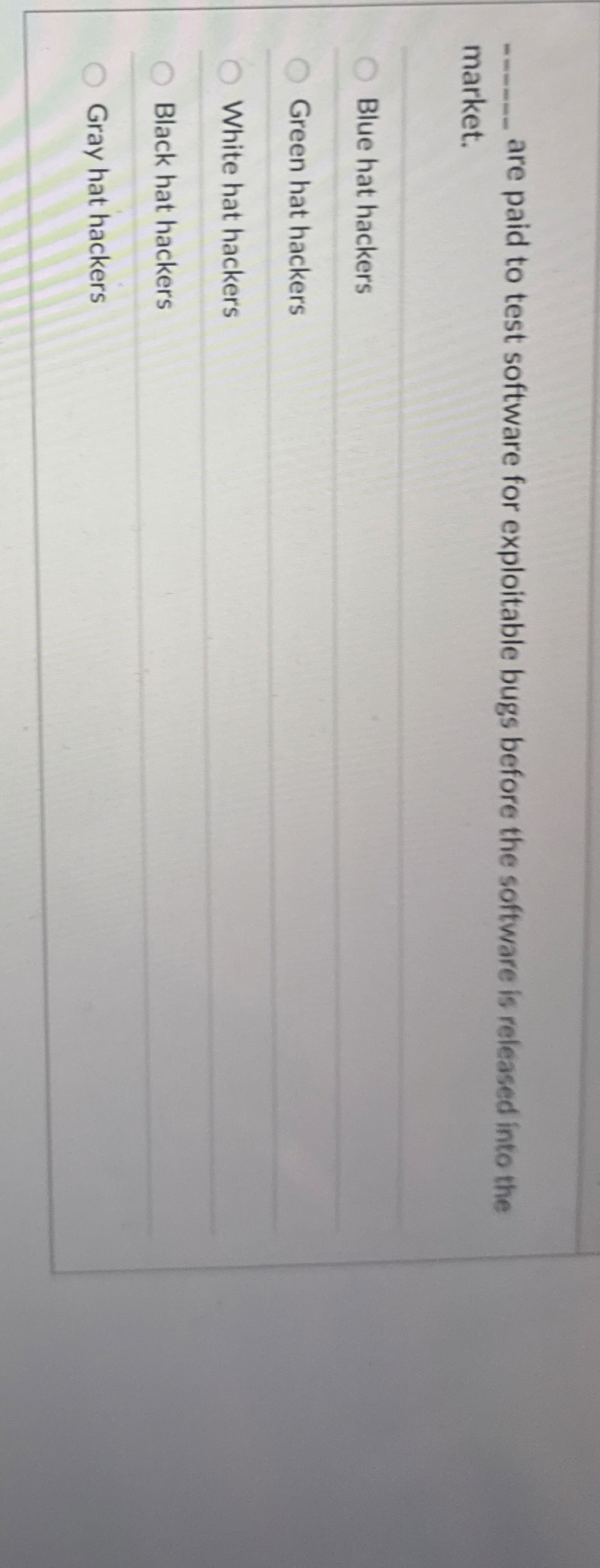 q , are paid to test software for exploitable