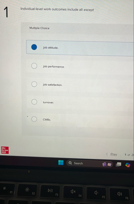1 Individual - level work outcomes include all