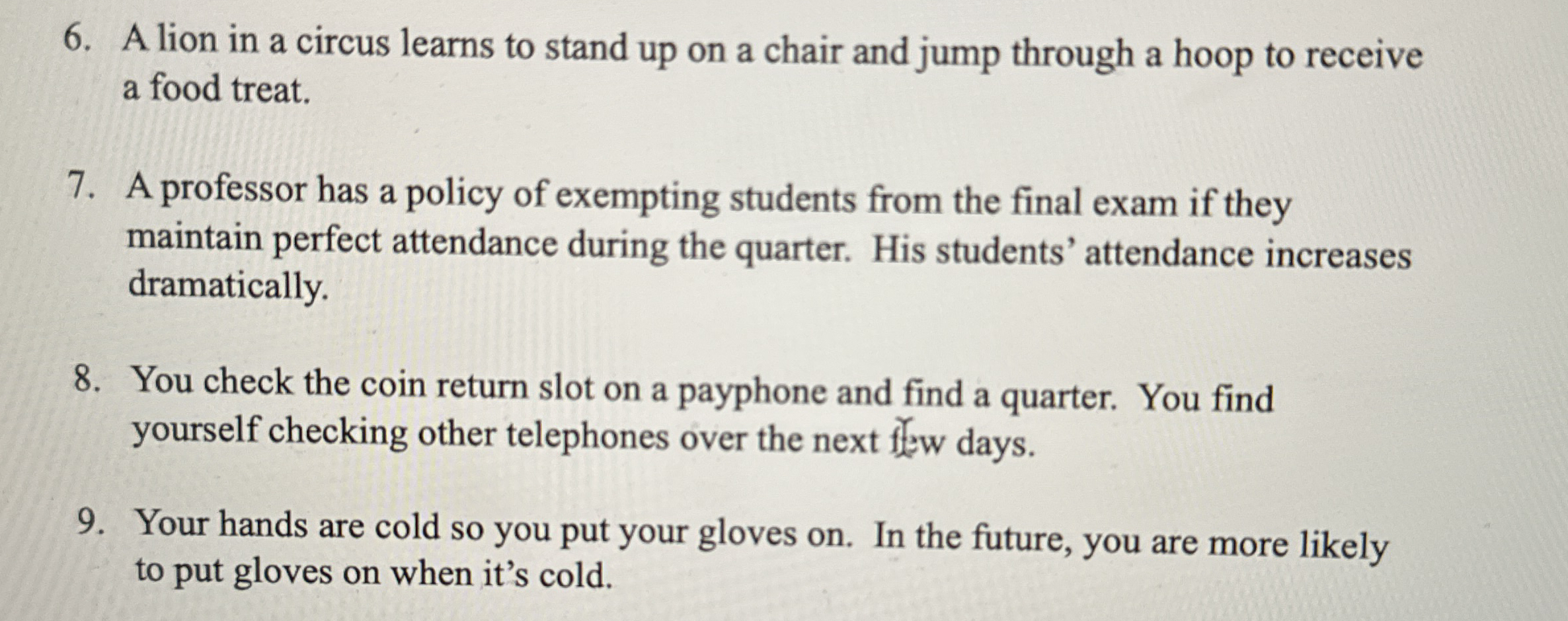 A lion in a circus learns to stand up on a chair