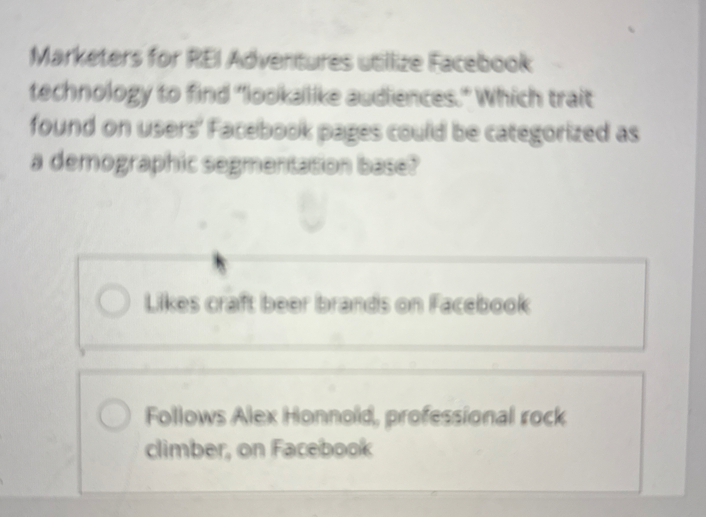 Marketers for REI Adventures utilize Facebook