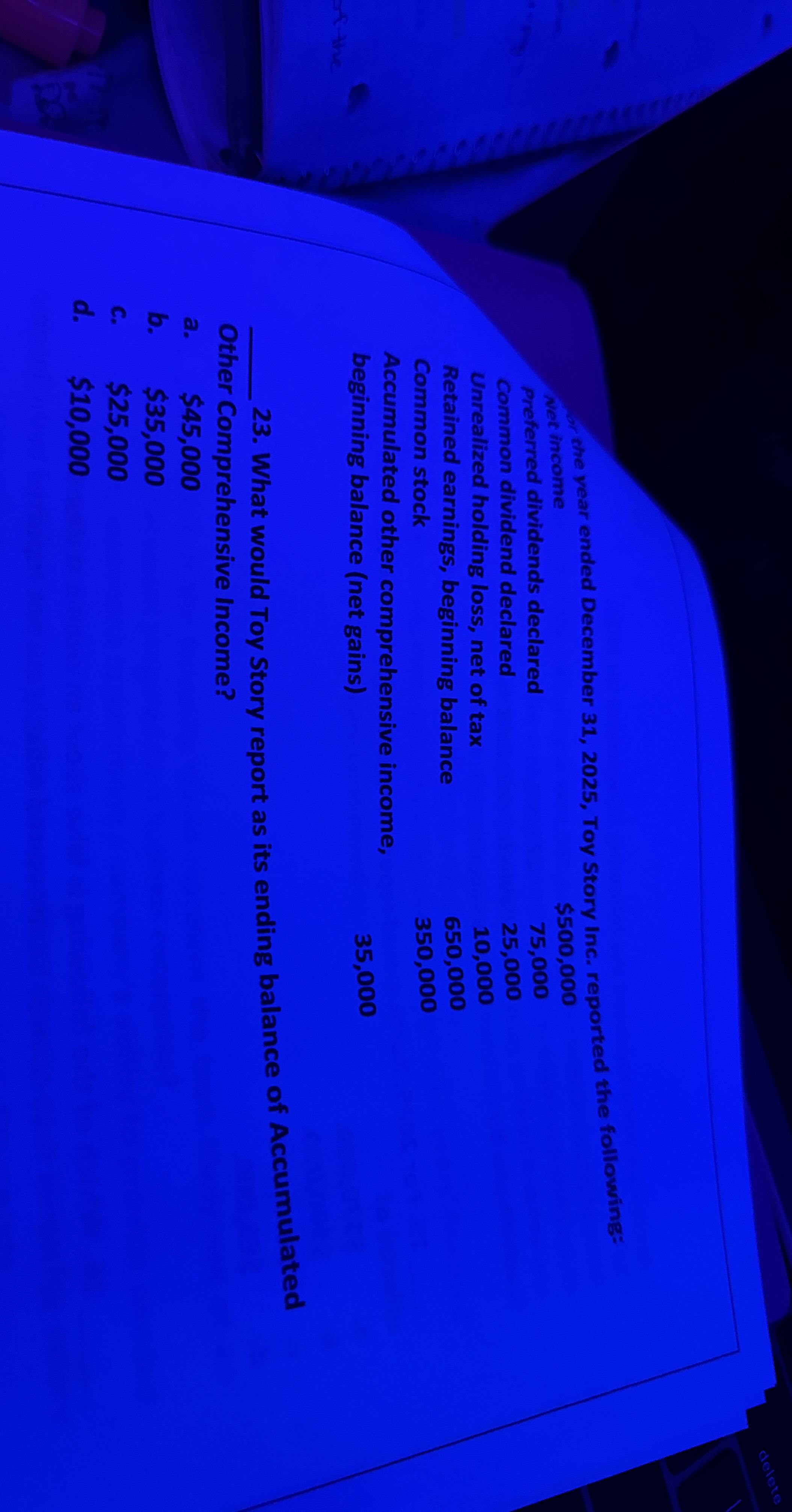 Wr the year ended December 3 1 , 2 0 2 5 , Toy