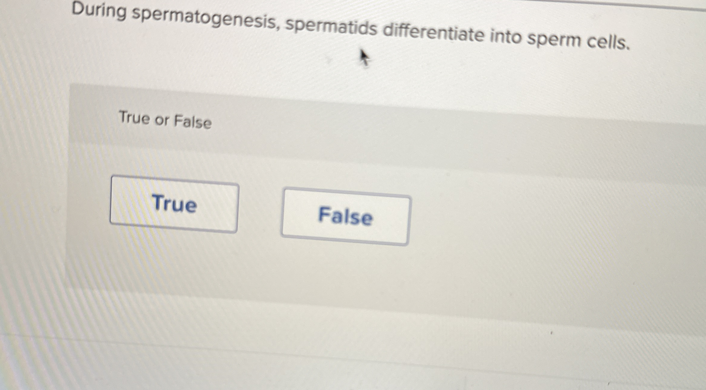 During spermatogenesis, spermatids differentiate