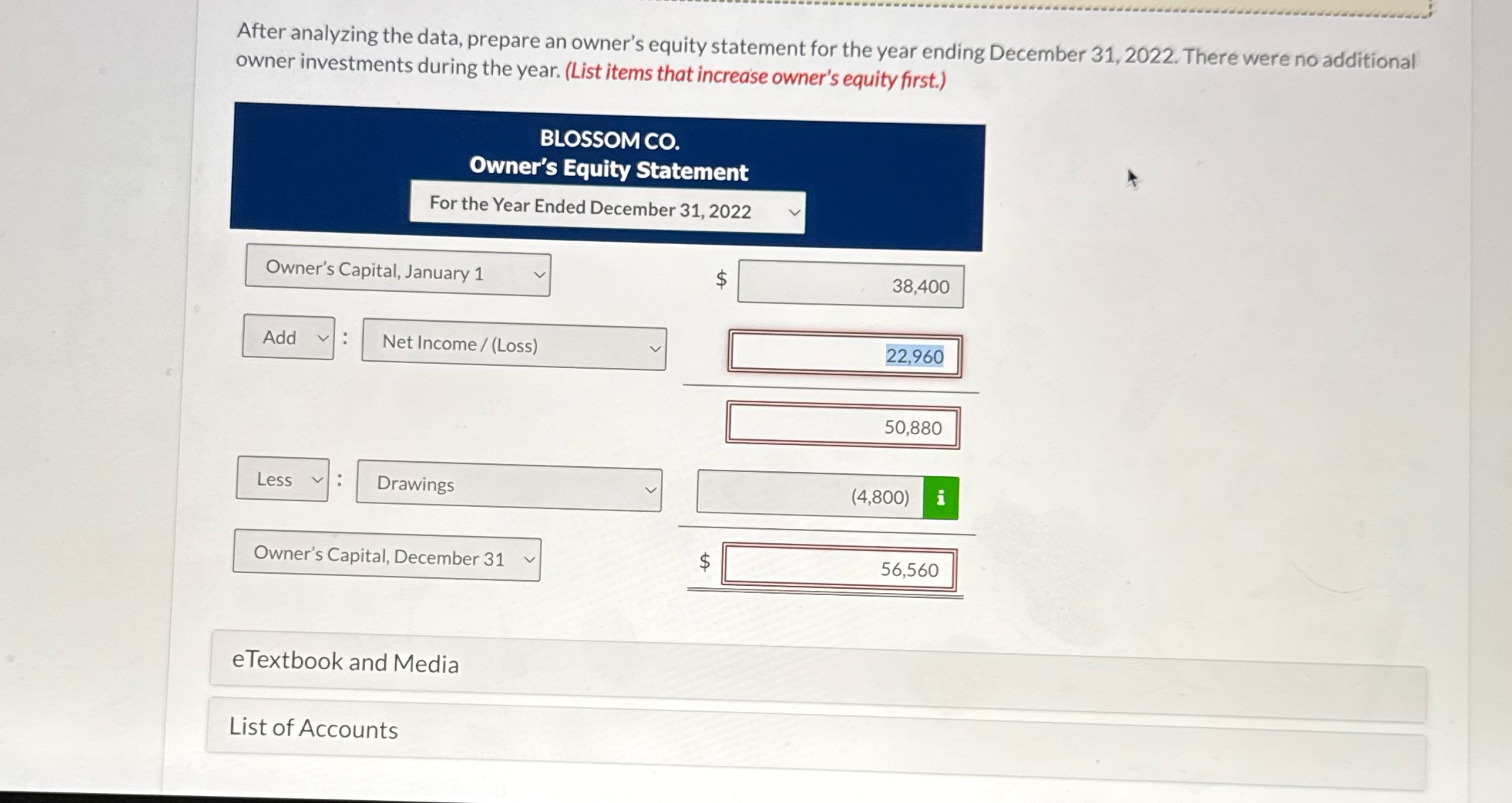 After analyzing the data, prepare an owner's