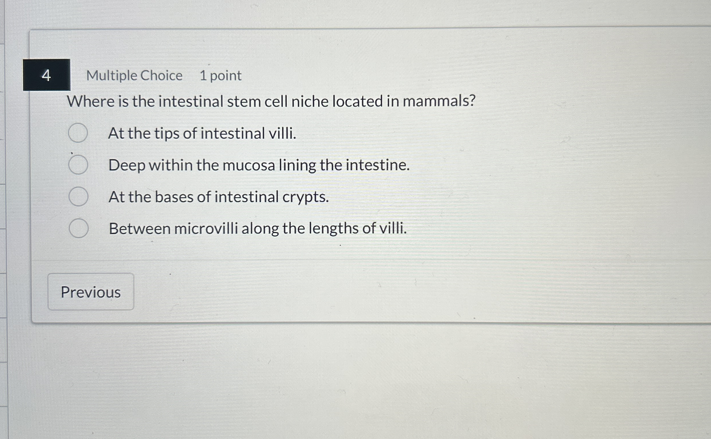 4 Multiple Choice 1 point Where is the intestinal