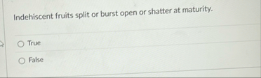 Indehiscent fruits split or burst open or shatter