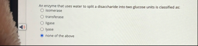 An enzyme that user water to split a disaccharide