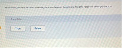 Intercellular Junctions important in sesling the