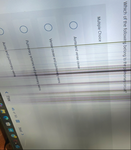 Which of the followirg belong to the - monary