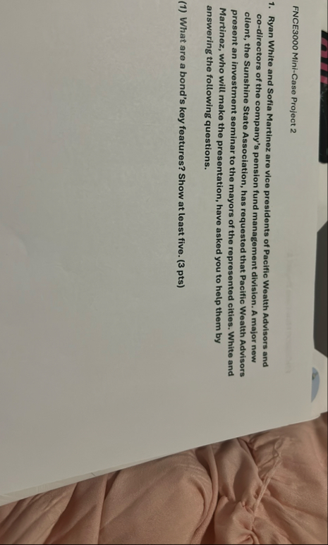 FNCE 3 0 0 0 Mini - Case Project 2 Ryan White and