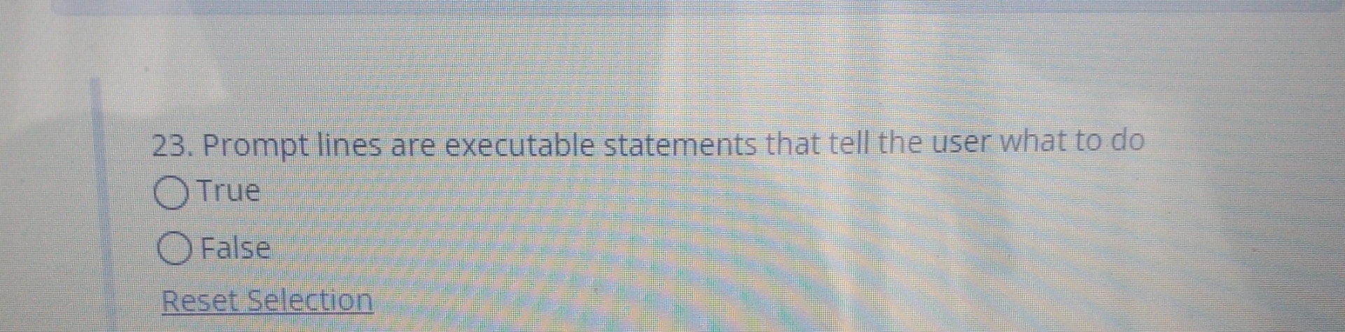 Prompt lines are executable statements that tell