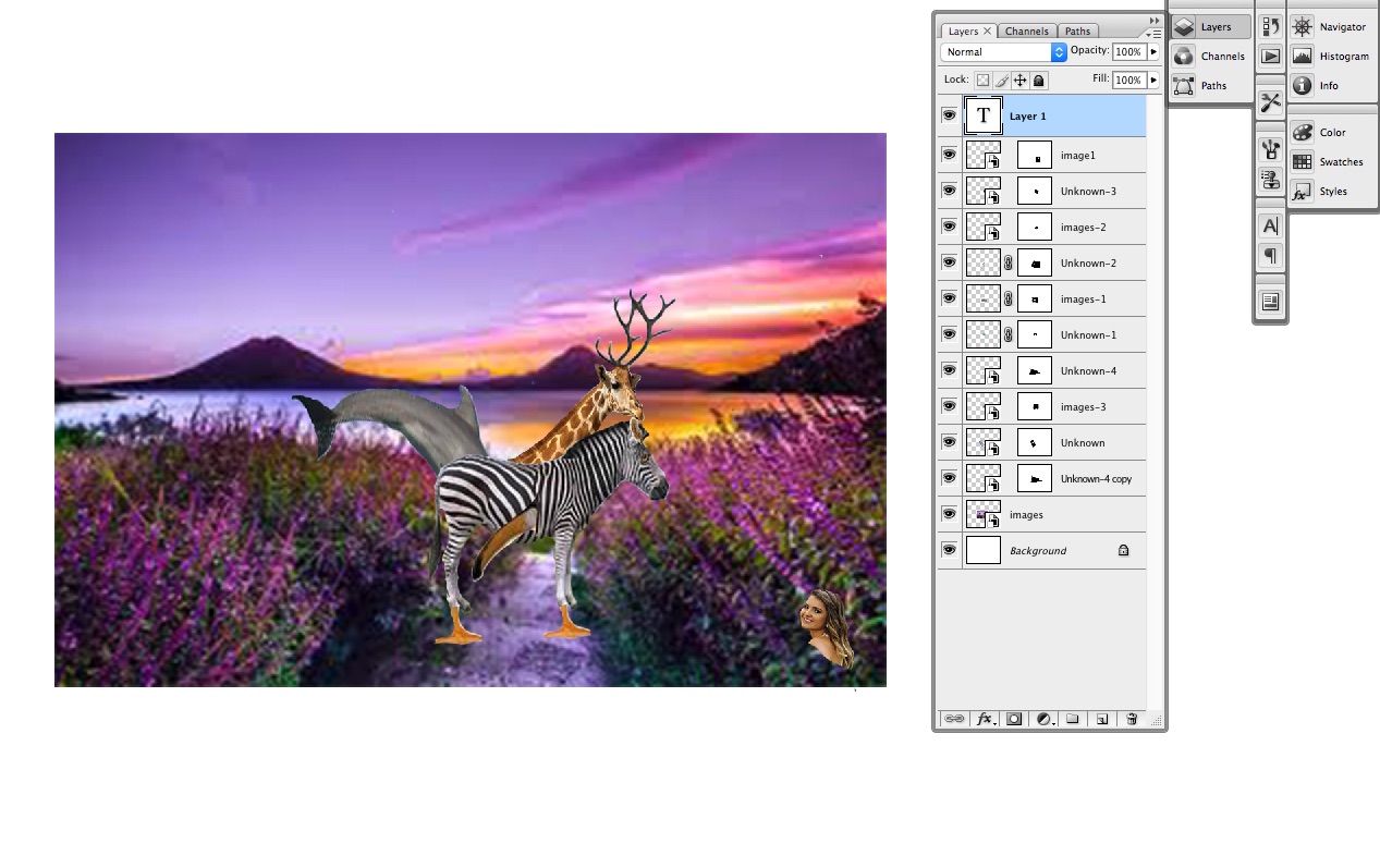  1. Using Layer Images-1 explain the different 4 icons shown from