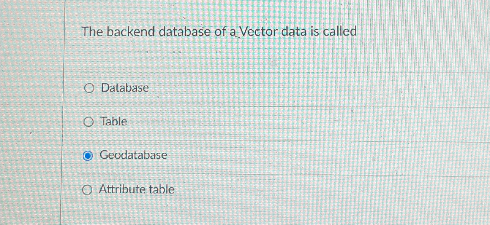 The backend database of a Vector data is called