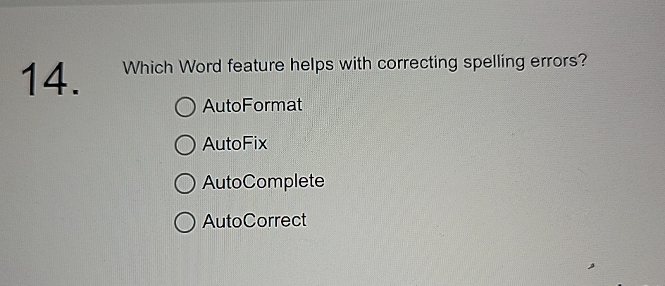 Which Word feature helps with correcting spelling