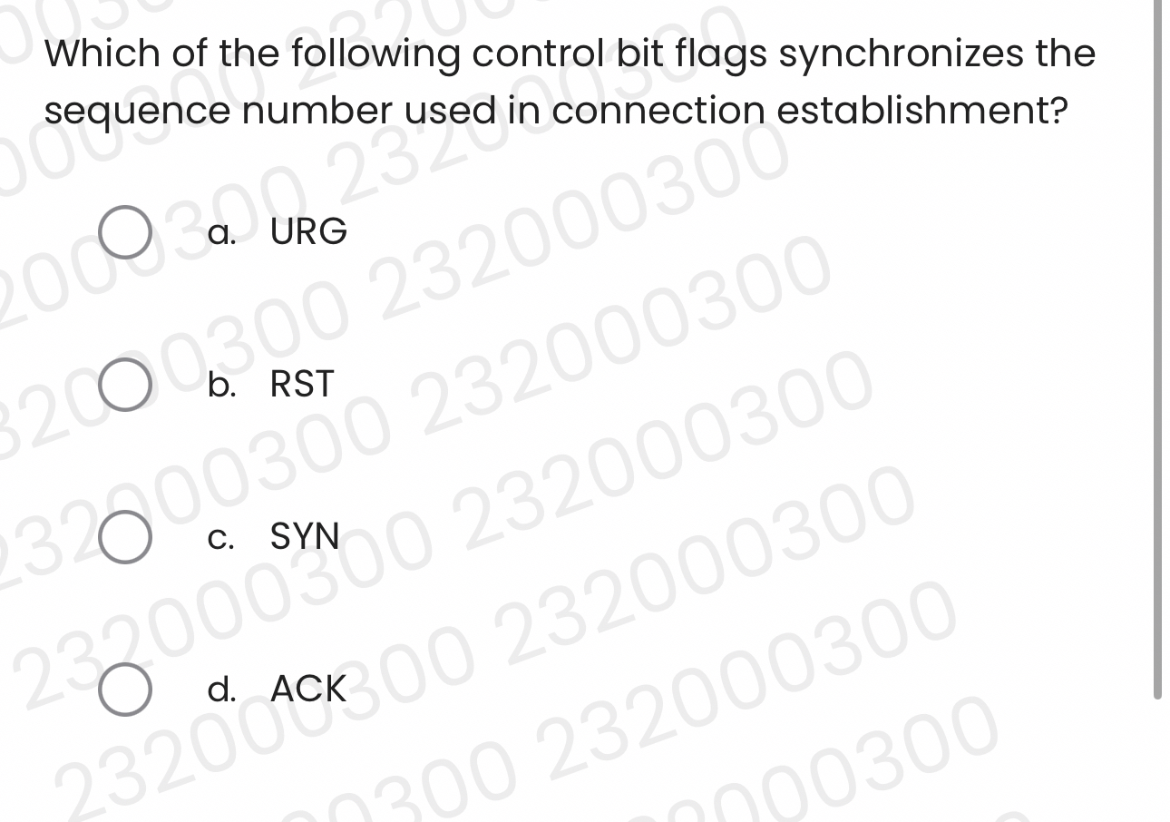 Which of the following control bit flags