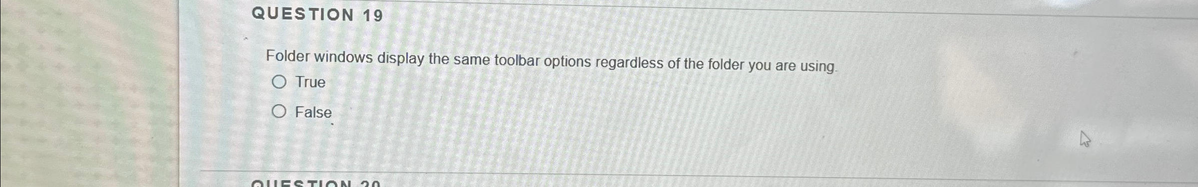 QUESTION 1 9 Folder windows display the same