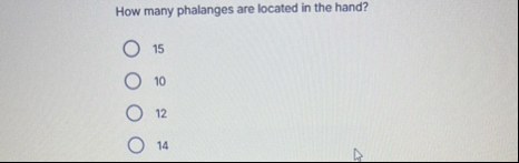 How many phalanges are located in the hand? 1 5 1