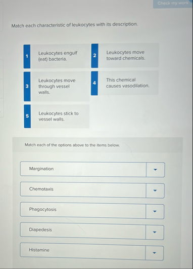 elkita ny wate Match each characteristic of