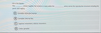 Fill in the blarks: The q , artery supples the