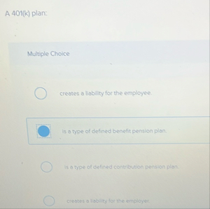A 4 0 1 ( k ) plan: Multiple Choice creates a
