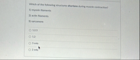 Which of the following structures shortens during