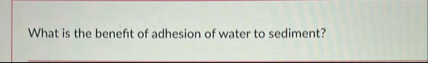What is the benefit of adhesion of water to