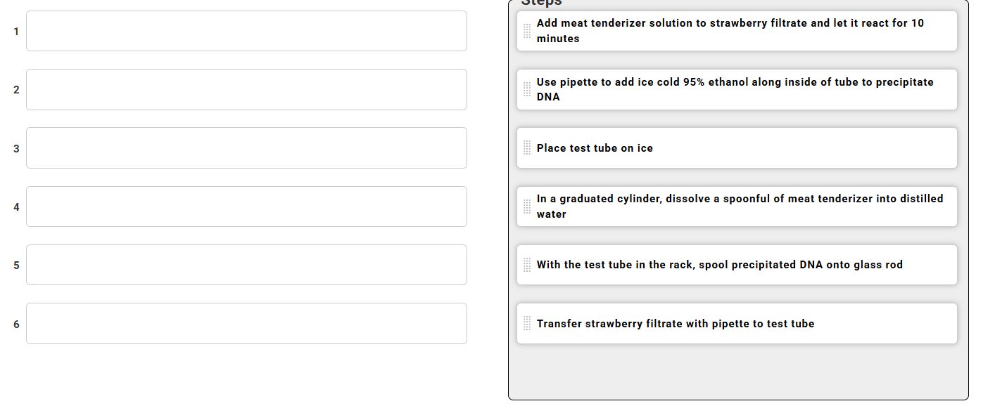 what is the correct order? vicpo Add meat