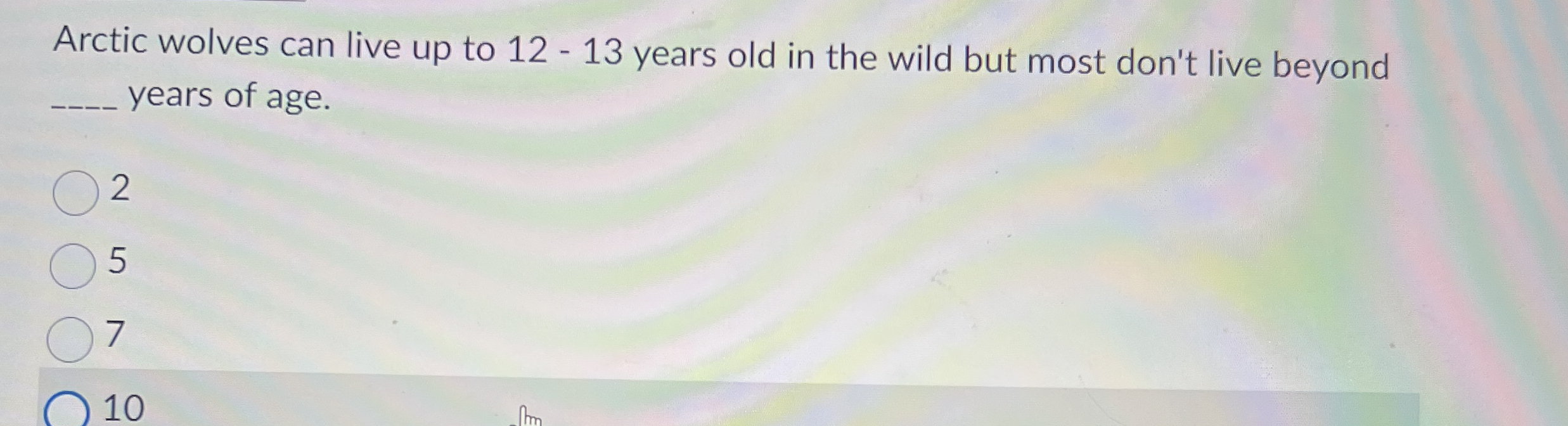 Arctic wolves can live up to 1 2 - 1 3 years old