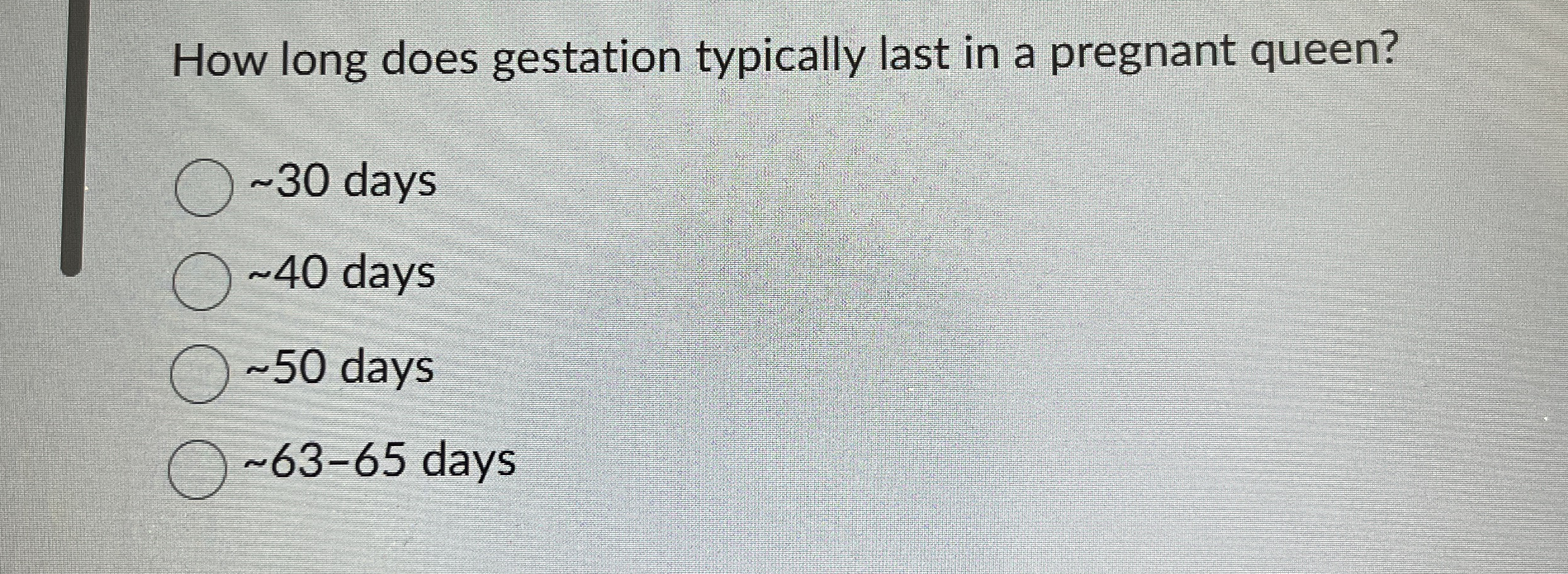 How long does gestation typically last in a