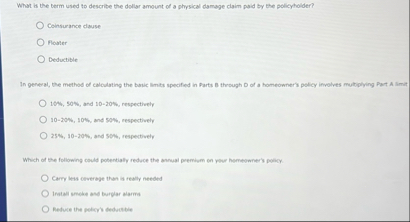What is the berm used to describe the dollar
