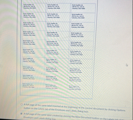 A full page of the same label inserted at the