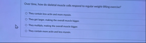 Over time, how do skeletal muscle cells respond
