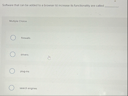 Software that can be added to a browser to